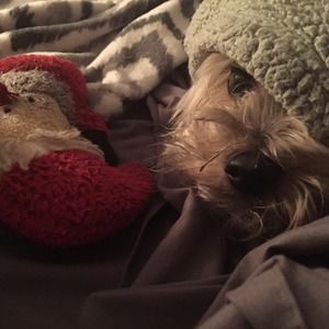 Meet your Posher, Becky